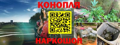 гидра Рузаевка