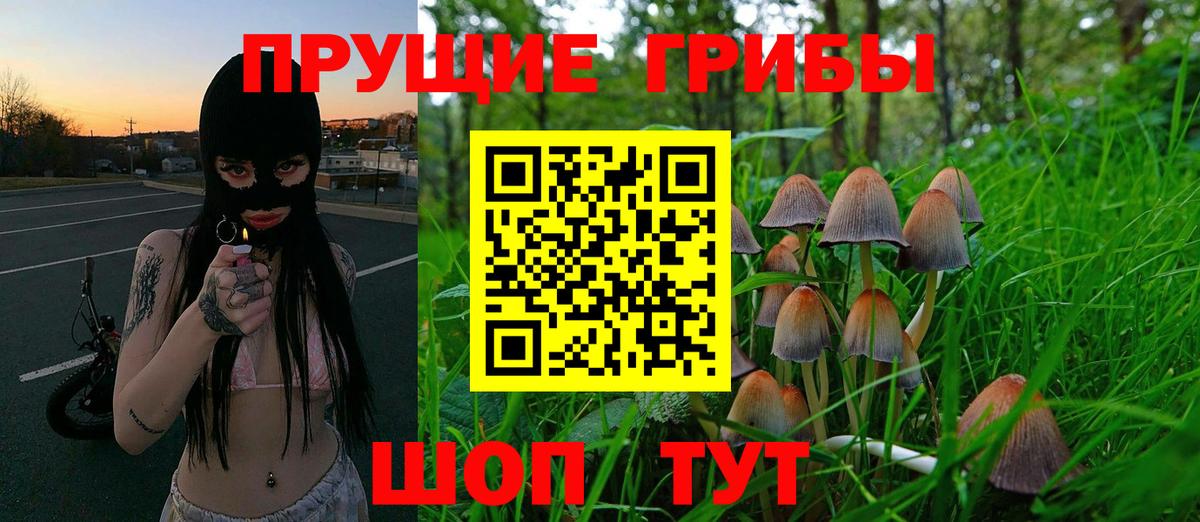 Псилоцибиновые грибы Psilocybine cubensis  Вход с VPN  купить наркотик  Приморско-Ахтарск 